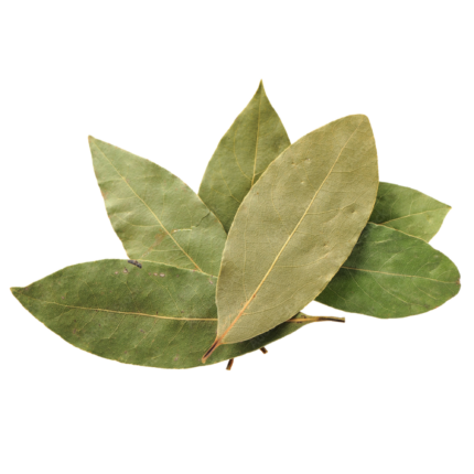 Bay Leaves