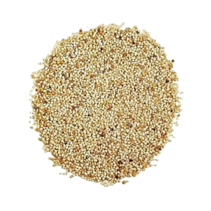 Poppy Seeds