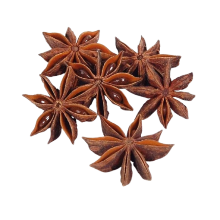 Star-Anise-Badyan-Flower