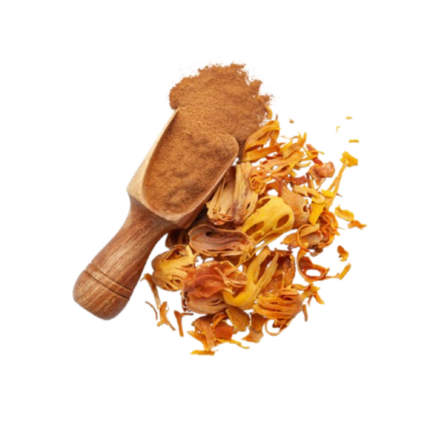 Jaiphal (جائفل)→ Javitri (جاوتری) Powder